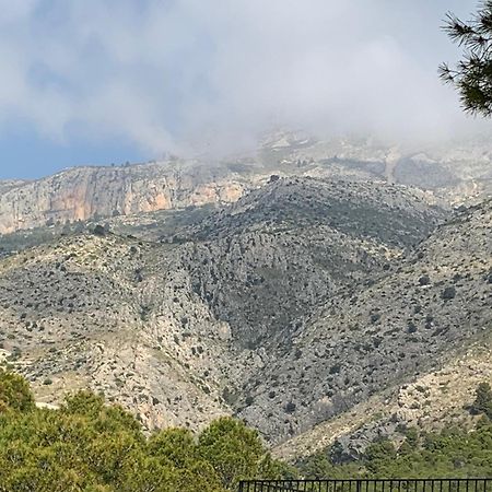 Casa Orient Βίλα Αλτέα Εξωτερικό φωτογραφία