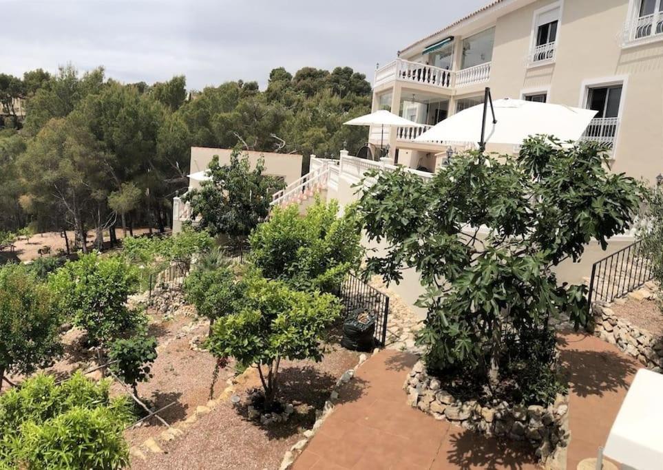 Casa Orient Βίλα Αλτέα Εξωτερικό φωτογραφία